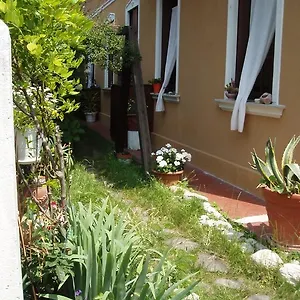 Perla Lido de Venise